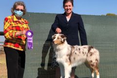 Kenny going RWD under Judge Diane Langstrom, age 10 months