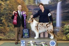 Best of Breed at Silver Falls KC, March 2023