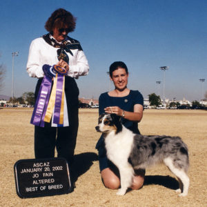 Echo winning Altered Winners Bitch, Altered Best of Winners, Altered Best of Breed under Judge Jo Fain, 01.20.2002