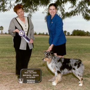Jazz winning Altered Reserve Winners Dog under Judge Barbara Peach at the ASCAZ Silver Specialty Cool-Down Show, 11.25.2001