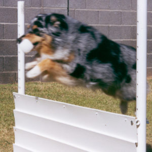 Jazz performing the High Jump exercise