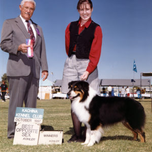 Symon winning Winners Dog, Best of Winners, and Best Opposite Sex at Kachina KC, October 1007. Kohler Photo