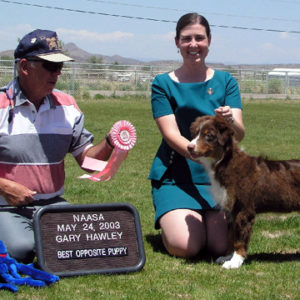 Flyer winning BOSP at NAASA under ASCA Breeder Judge Gary Hawley 05.24.2003