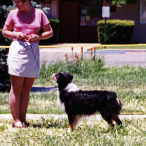 Cody showing in the NAASA Wet Dog Contest April 27, 1999