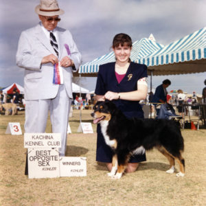 Phoebe winning Winners Bitch and Best of Winners for a 5 point major Kachina Kennel Club, Goodyear AZ, March 6, 1994