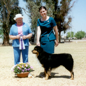 Bowen winning Reserve Winners Dog under Judge Donna Allen at ASCAZ, April 7, 2002