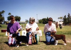 Phoebe winning Best of Breed Puppy, and Jasper winning Best Opposite Sex Puppy under ASCA Senior Breeder Judge Sharon Herbert, at ASCAZ, Phoenix AZ, 5 Apr 1992
