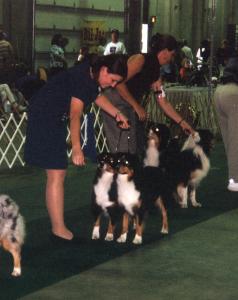 Phoebe and Clover competing in the Brace class at the 2001 ASCA National Specialty in Greeley, CO      