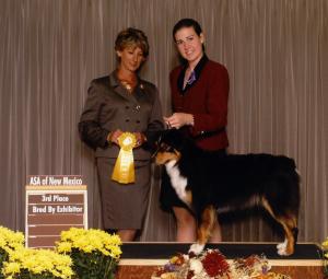 Clover winning 3rd Place in Bred by Exhibitor Bitch at the ASANM nationals preshow under ASCA Senior Breeder Judge Pam Levin, September 2001                          
