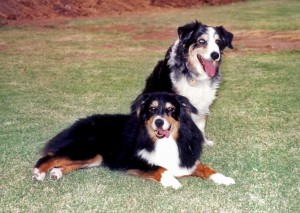 Abbi (aged 14) with her daughter Phoebe (aged 10) in 2002
