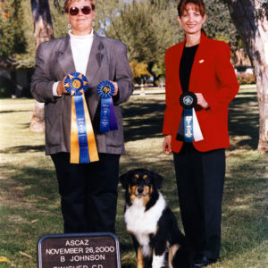 Aster winning High in Trial to finish her ASCA CD under Judge Becky Johnson, 11.26.2000