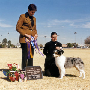 Echo winning Altered Winners Bitch, Altered Best of Winners, Altered Best of Breed under Judge Virginia Borduin 02.03.2002