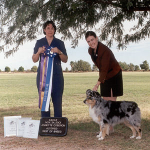 Jazz winning Altered Winners Dog, Altered Best of Winners and and Altered Best of Breed under Senior Breeder Judge Annette Cyboron at the ASCAZ Silver Specialty, 11.24.2001