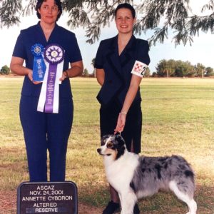 Echo winning Altered Reserve Winners Bitch under ASCA Breeder Judge Annette Cyboron, 11.24.2001