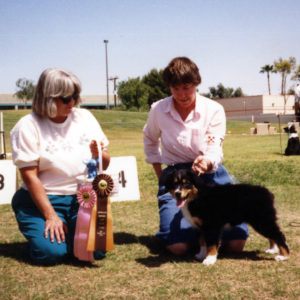 Phoebe winning Best of Breed Puppy under ASCA Senior Breeder Judge Sharon Herbert, at ASCAZ, Phoenix AZ, April 5, 1992