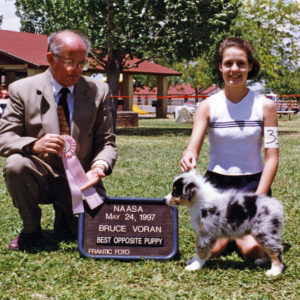 Zoe winning Best of Breed Puppy under Judge Bruce Voran at NAASA, May 24, 1997. Handled by Emily Thomas, photo by Kristin Rush