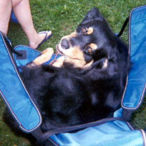 Bowen hanging out at the dog show, March 29, 2001