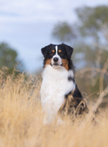 Marvin at 16 months, September 2025.