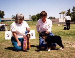 Phoebe winning Best of Breed Puppy under ASCA Senior Breeder Judge Sharon Herbert, at ASCAZ, Phoenix AZ, 5 Apr 1992