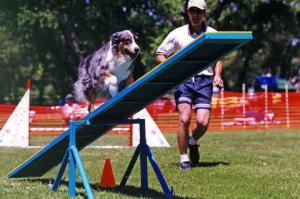 Zoe and Scott doing the Teeter obstacle, at Mile High Agility in Prescott, AZ, May 2000       