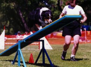 Cody on the Teeter. May 13, 2001                       