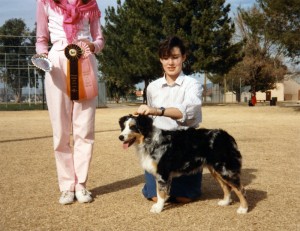 Abbi winning Best of Breed Puppy under ASCA Breeder Judge Teena Meadors at ASCAZ, Mesa AZ, 21 Jan 1989    