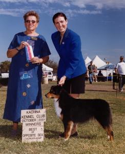 Clover winning Winners Bitch and Best of Breed under Judge Arlene Rubenstein at Kachina KC, Goodyear, AZ October 2001                      