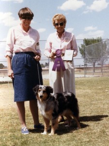 Harley winning Winners Bitch under Judge Jean Malone at OPASC, Marana AZ, 30 May 1988