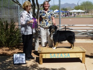 Lola winning Altered  Winners Bitch, Altered Best of Winners and Altered Best of Breed under ASCA Breeder Judge Sharon Sparks at SAZASA, Tucson AZ